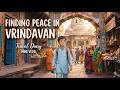 Finding Peace in Vrindavan | Travel Diary✨
