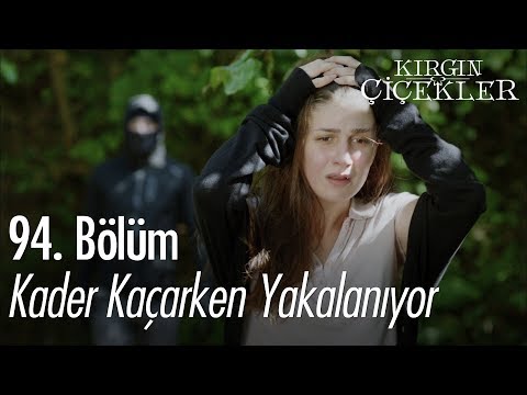 Kader kaçarken yakalanıyor - Kırgın Çiçekler 94. Bölüm