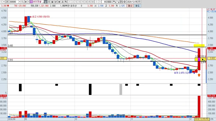 바이젠셀 (308080) 패턴분석 및 투자전략