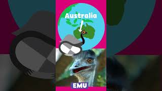 Animal Alphabet | E is for Emu | PBS KIDS #Shorts