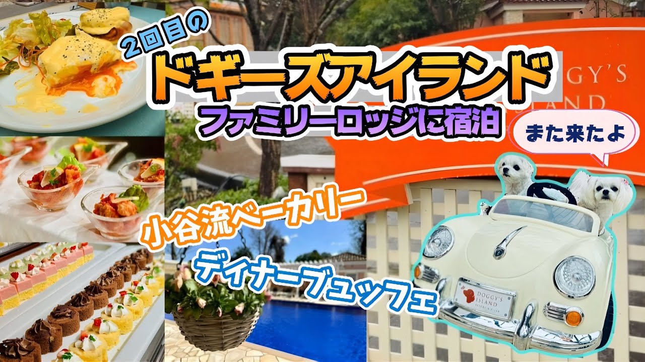 ドギーズアイランド　ファミリーロッジフォレストテラス