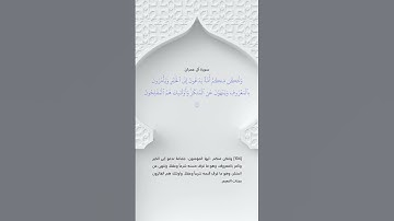 سورة آل عمران آيه (104) / ياسر الدوسري