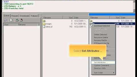 Managing files and directories via LeechFTP