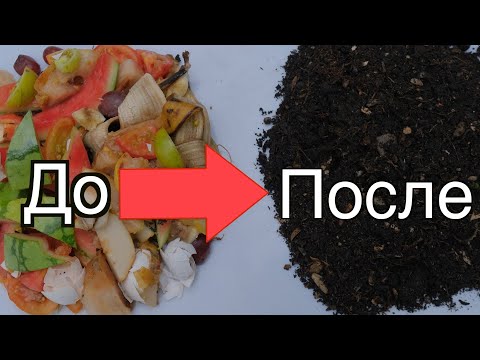 Быстрый компост прямо на грядках