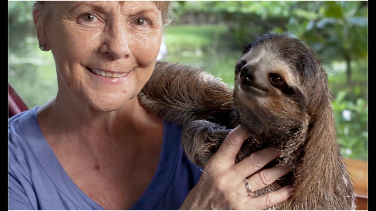 Poznajcie Judy - kobietę, która ratuje ranne i osierocone leniwce [Kobieta na krańcu świata]