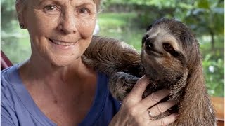 Poznajcie Judy - kobietę, która ratuje ranne i osierocone leniwce [Kobieta na krańcu świata]