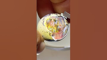 Trứng chim cút bị khô khó nở #shorts #short