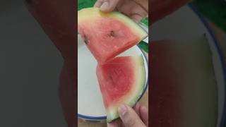 Frozen Watermelon hack#watermelon #youtubeshorts #trending #frozenfood #viralshort #food