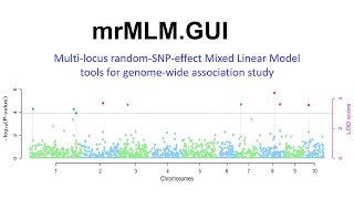 mrMLM (multi-locus random-SNP-effect mixed linear Model) tools for  genome-wide association study.