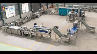300kg full automatic french fries production line#potato machine#french fries#production line maker#
