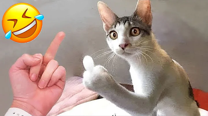 Watch the video about Best Cat & Dog Videos 😂😁 Funny Videos Compilation 😅😹 PART 19