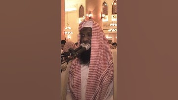 حَتَّىٰ إِذَا اسْتَيْأَسَ الرُّسُلُ وَظَنُّوا أَنَّهُمْ قَدْ كُذِبُوا جَاءَهُمْ نَصْرُنَا #سورة_يوسف