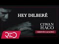 Ciwan Haco - Hey Dilberê【Remastered】 (Official Audio)