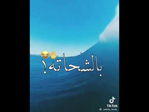 فى الشرم البارتى ديرتى حالات واتس