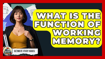 What Is The Function Of Working Memory? - Ultimate Study Hacks
