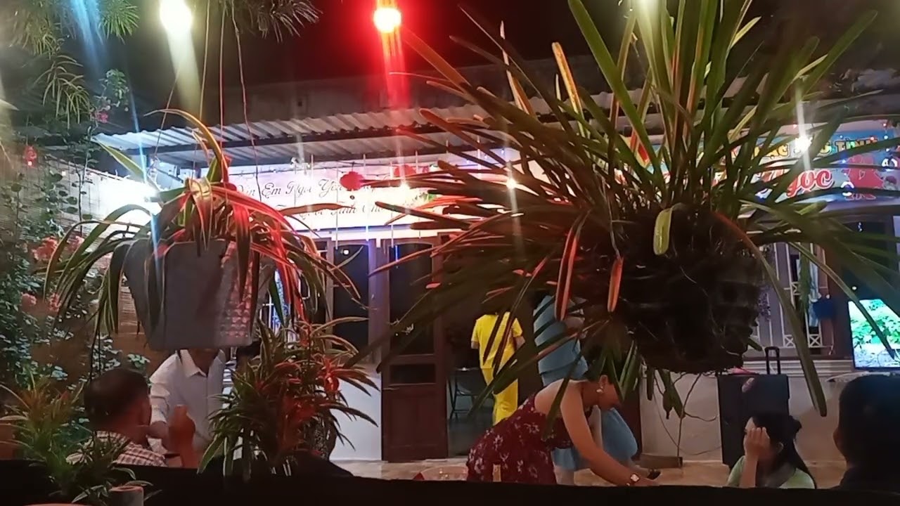 gia đình xum họp ( tt)