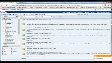 Strafford Technology - OBIEE Introduction and Opening Reports