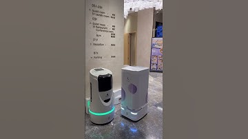 The Perfect Coordination Between Elevators and Delivery Robots