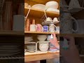 How to Get Rid of Cockroaches in the Kitchen - My Experience