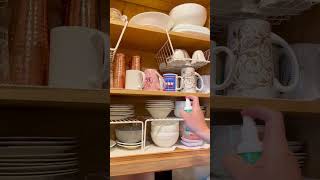 How to Get Rid of Cockroaches in the Kitchen - My Experience