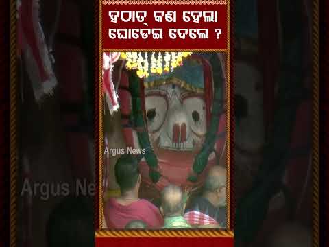ହଠାତ୍‌ ଘୋଡ଼େଇ ଦେଲେ... | Puri Rath Yatra 2026 | Argus News