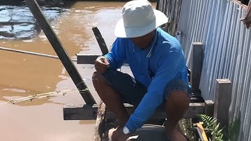 [CÂU CÁ] - LỤM NGAY CÁ CÓC SIÊU TO BẰNG MỒI SIÊU ĐƠN GIẢN