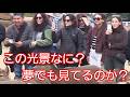 この光景なに？夢でも見てるのか？朝早くから外国人観光客が幻想的な光景に出くわす