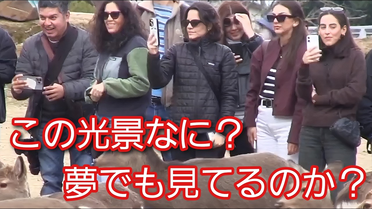 この光景なに？夢でも見てるのか？朝早くから外国人観光客が幻想的な光景に出くわす