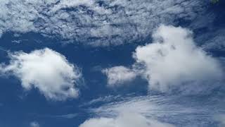 Sunny day as fluffy white clouds drift across sky.