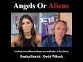 David Wilcock | Angels Or Aliens | Ep. 214 #short