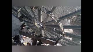 Revelando Secretos De Instalación Parabólica Banda C Después De Fabricar Durante 40 Años Antenas