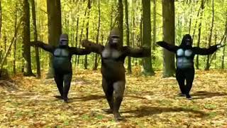 HEBOH.. !! TUAK ADALAH NYAWA versi KOPLO, kode rbt TUAK KOPLO1 kirim ke 1212