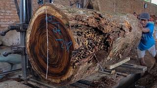 Insane Trembesi Wood Cutting 🔥 Massive Log Nearly Destroys The Saw Blade!
