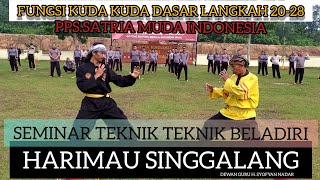 MARTIAL ARTS TECHNIQUES AND FUNCTIONS OF BASIC HORSE STANCES 20-28 SMI STEPS IN THE @HarimauSingg...