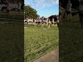 Let’s go P!! Iconic college cheer by Austin Peay cheerleaders!