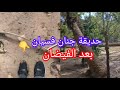 حديقة جنان فسيان العريقة باسفي بعد السيول الجارفة و فيضان واد الشعبة أجواء مؤلمة 