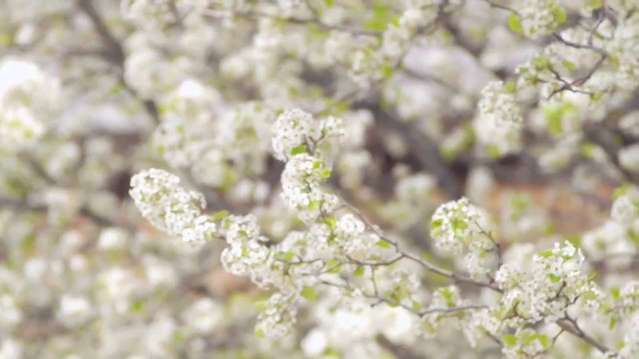 Elegant OKC Wedding Film :: Gaillardia Country Club :: Crossings Community