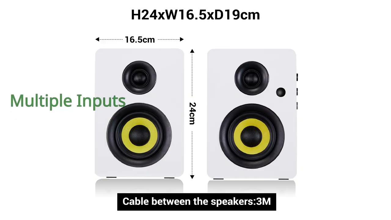 REVIEW (2026): Sanyun SW206 Bookshelf Speakers. ESSENTIAL details