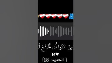 #المصحف #اكسبلور #لايك . سورة الحديد #يصلك