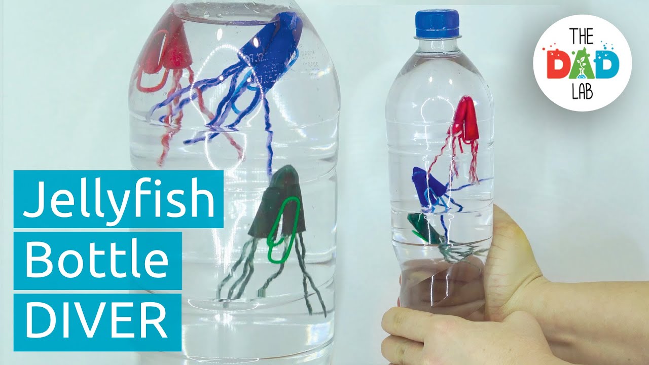 Diving Jellyfish in a Bottle  DIY Science Experiment 