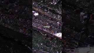 Diffusion experiment by using potassium permangenet crystals