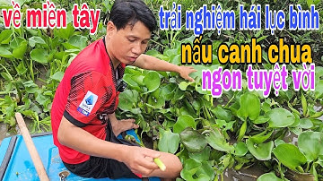 bữa cơm gia đình hái lục bình nấu canh chua khô cá lóc chiên giòn cực kỳ ngon tuyệt vời luôn