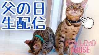 【生配信6/16】父の日にテトにありがとうを伝える生配信
