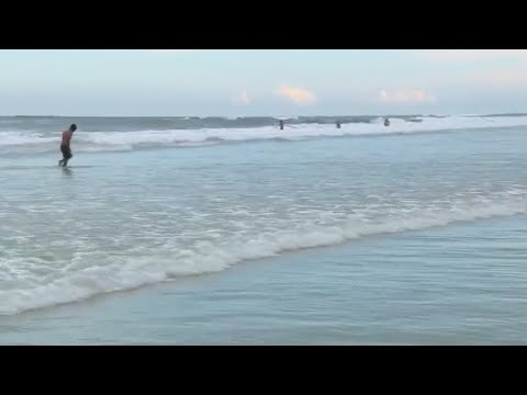 Man bitten in face by shark at New Smyrna Beach in Florida