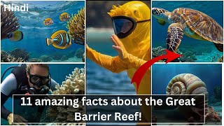 Discovering the Wonders: 11 Amazing Facts about the Great Barrier Reef! | Folktale Story