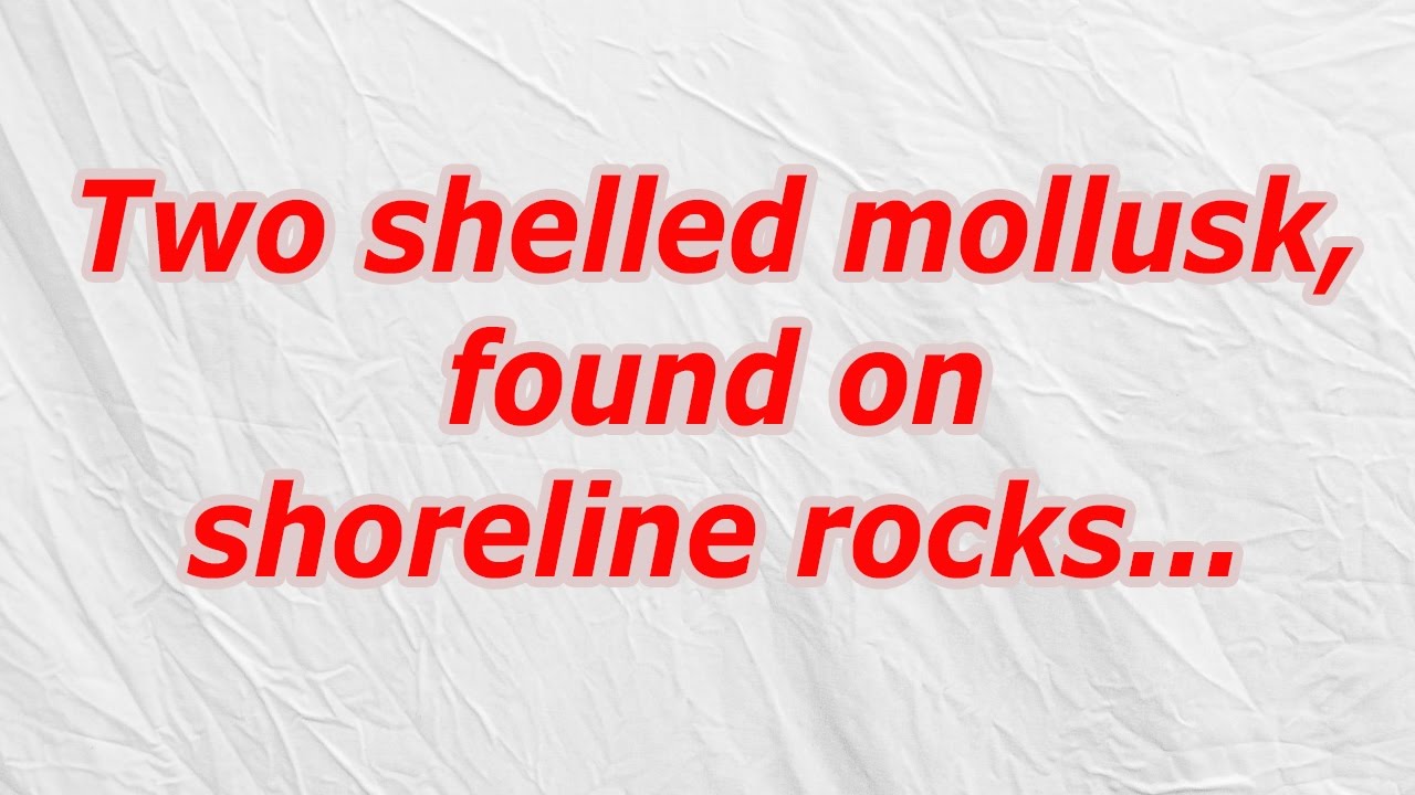 Two Shelled Mollusk Found On Shoreline Rocks CodyCross Crossword