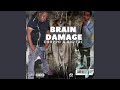 Brain Damage mp3