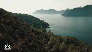 Finding Tranquility Serene Symphony for Deep Sleep & Stress Relief with Nature's Melodies