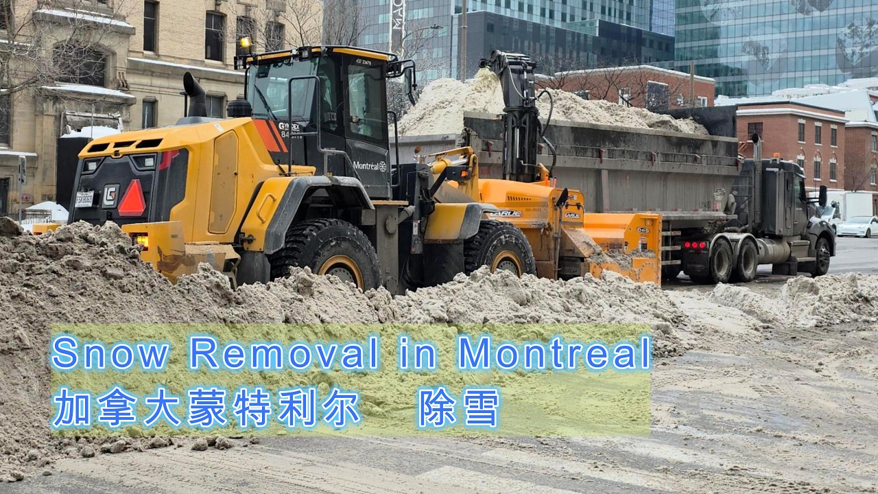 加拿大蒙特利尔二月底一次除雪清雪作业 Montreal Snow Removal MTL
