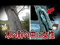 【ゆっくり解説】近年判明した驚愕の考古学的事実とミステリー39選【総集編】
